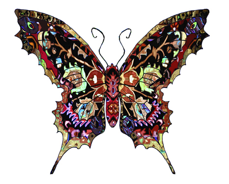 Butterfly Art | Butterfly Paintings | Butterfly Prints & Cards
