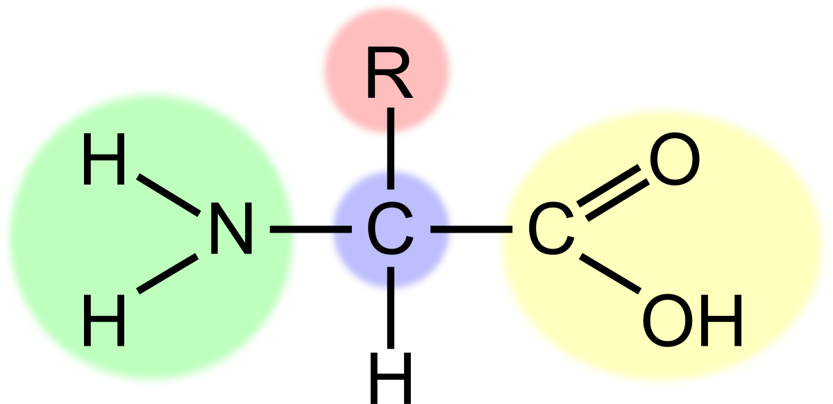 Amino Acid (highlight) Clipart by J_Alves : Building Cliparts ...