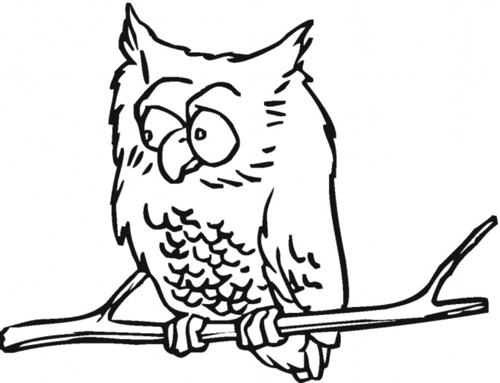 Hard Owl Coloring Pages Wallpapers HD, Wallpaper, Hard Owl ...