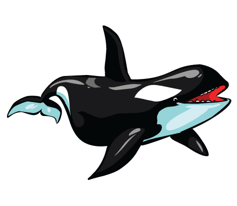 Free orca Clipart. Next: | Clipart Panda - Free Clipart Images