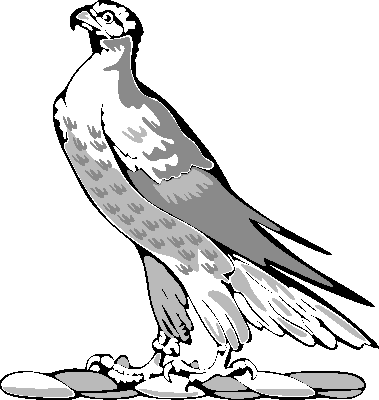 Falcons Clip Art | Clipart Panda - Free Clipart Images