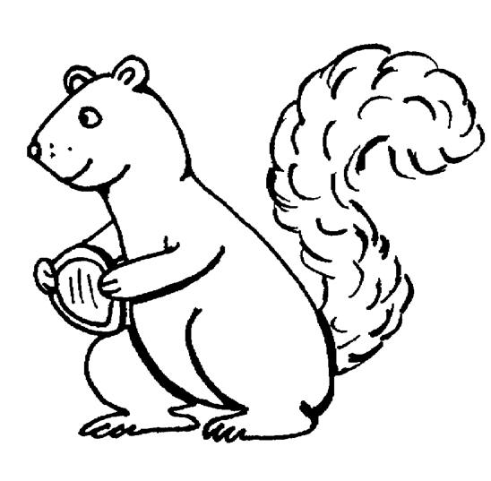 squirrel coloring pages | Coloring Pages