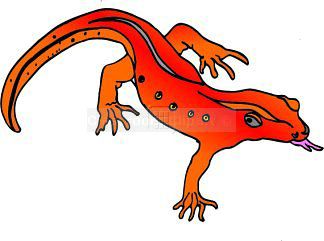 Lizard Clipart : lizard4a : Classroom Clipart