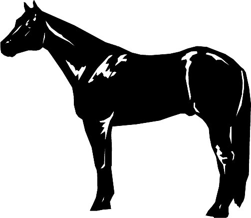 KSK Quarter Horses - Free Horse Clipart