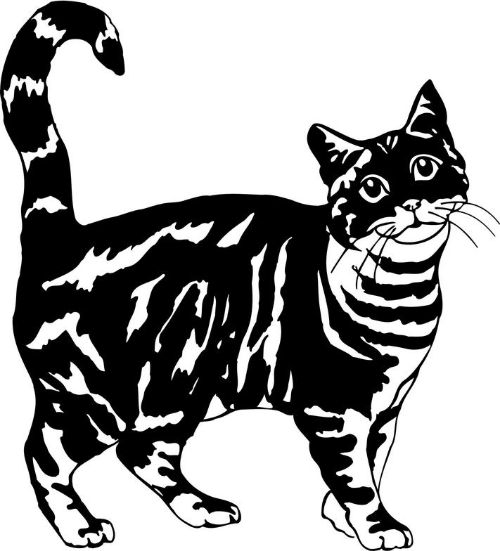 Tabby Cat Clip Art - Cliparts.co