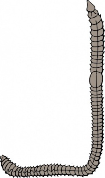 Earth Worm clip art Vector | Free Download