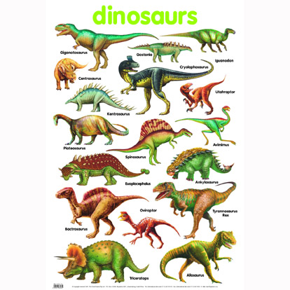 January 3, 2008 | Everything Dinosaur Blog