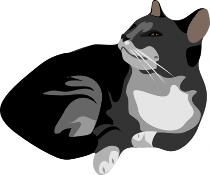 Gatto Cat clip art - Download free Other vectors