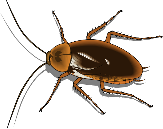 Skylover: the cockroach of the classroom