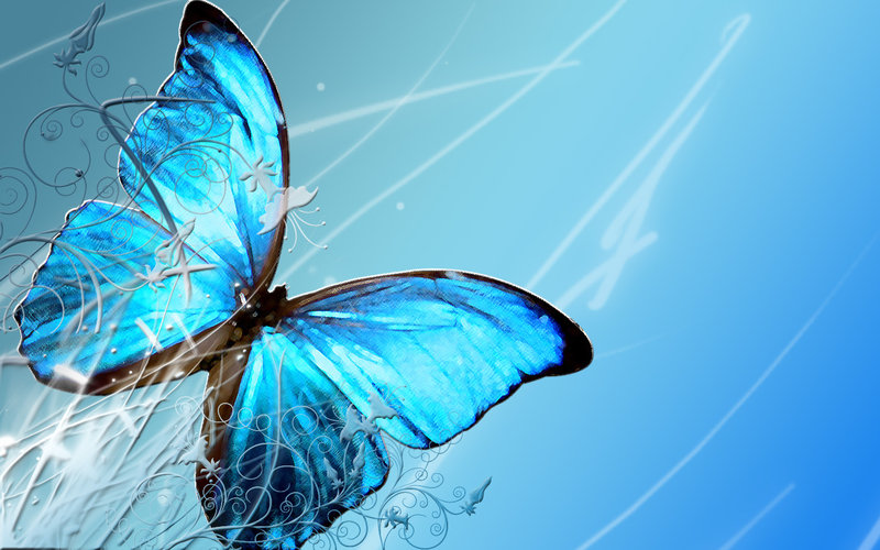 Group of: beautiful blue butterfly | We Heart It