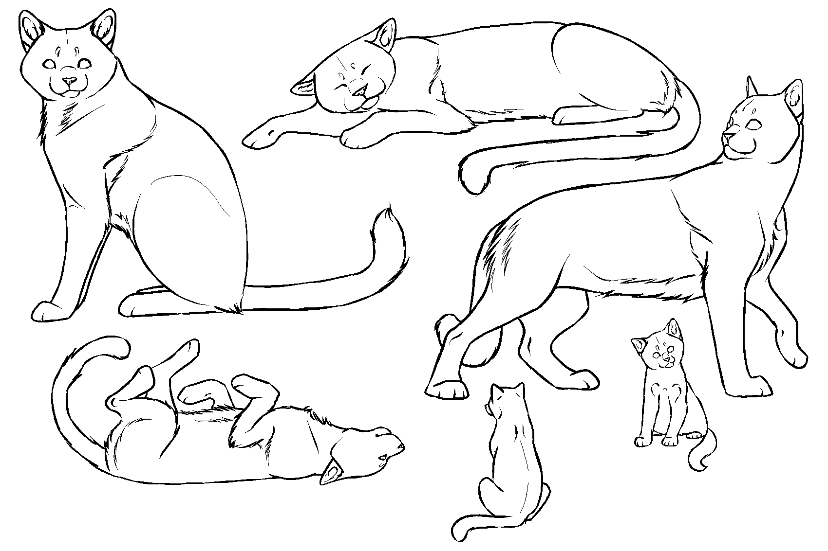 Cat Lineart Photos