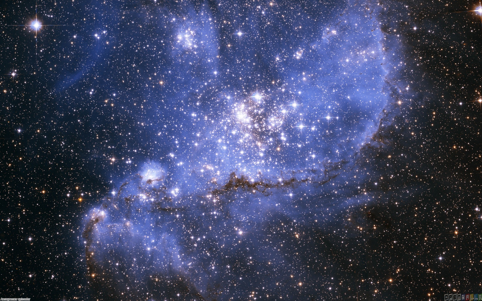 Blue stars wallpaper #3008 - Open Walls