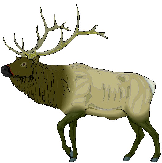 Elk Clip Art Photos | Clipart Panda - Free Clipart Images