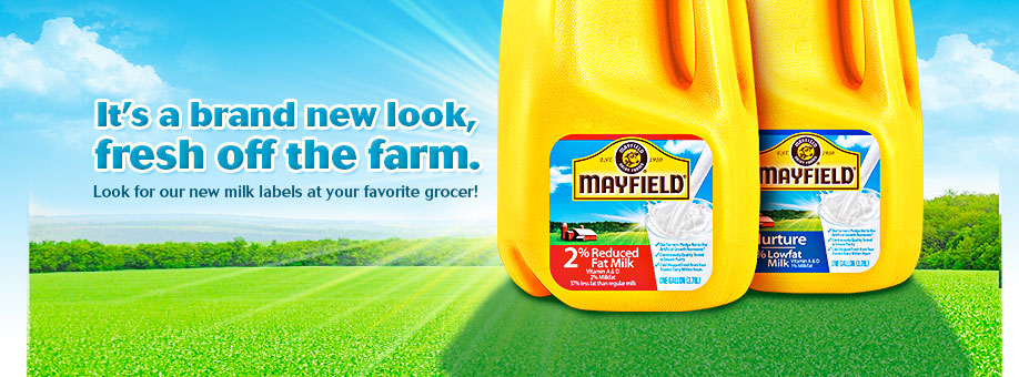 Mayfield Ice Cream Flavors 94736 | MOVDATA
