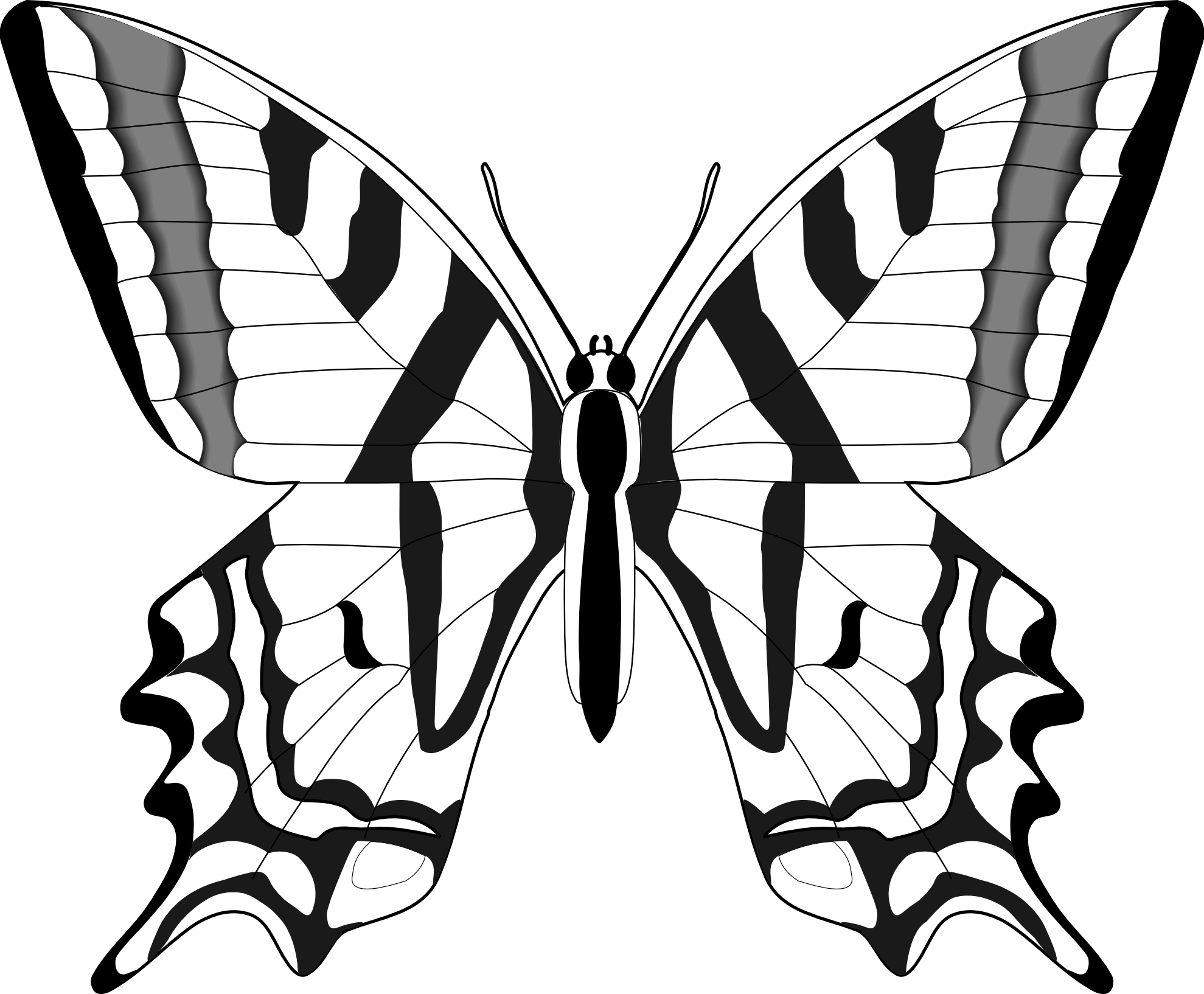 Black White Butterfly Images - ClipArt Best