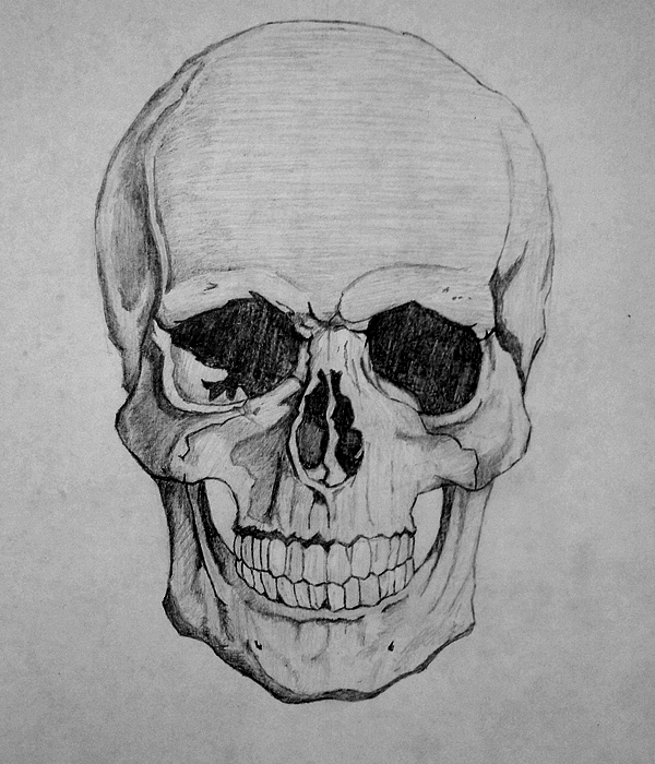 How To Draw A SKULL by HowToDrawItAll on DeviantArt