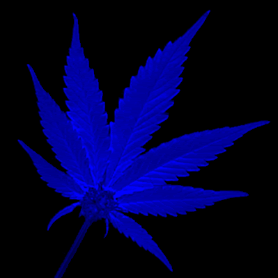 weed leaf graphics and comments
