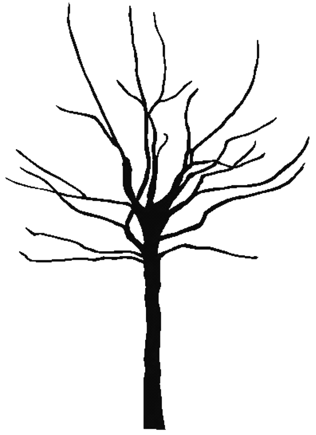 Black Bare Tree Clipart | Clipart Panda - Free Clipart Images