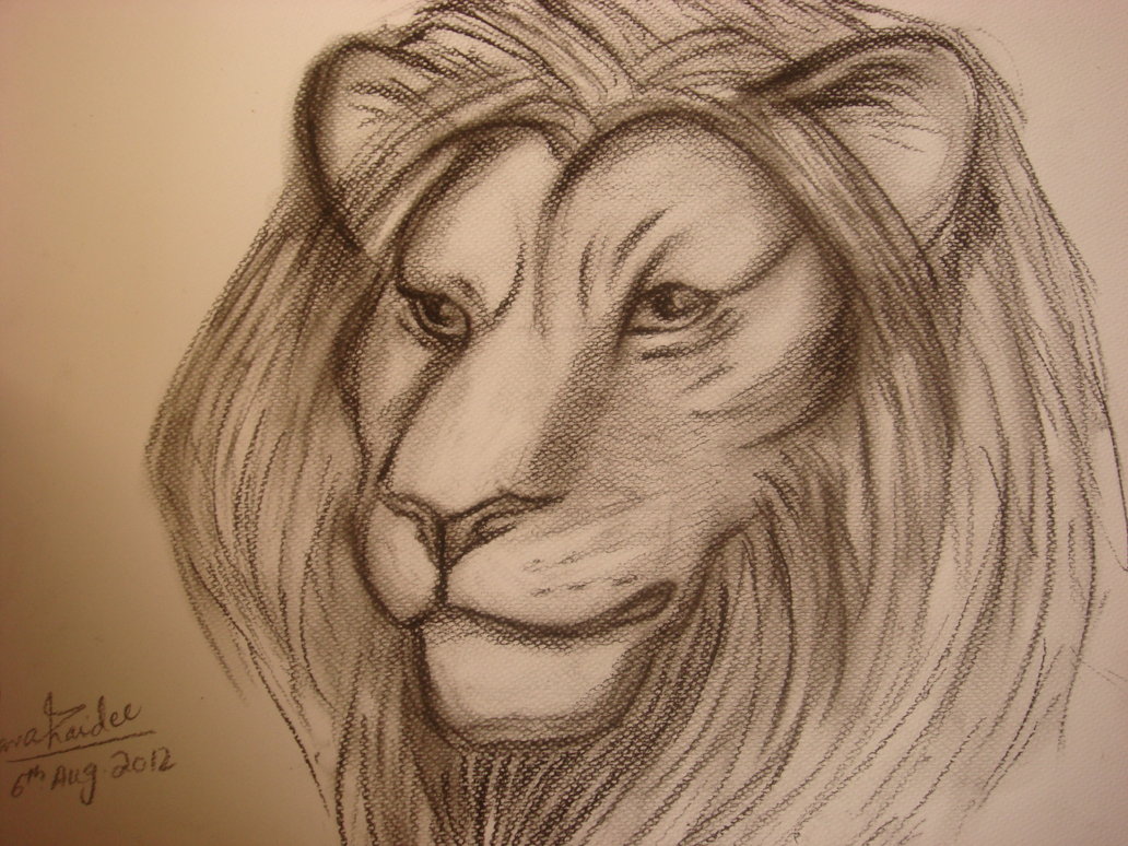 Lion Head by LapisCrest on DeviantArt