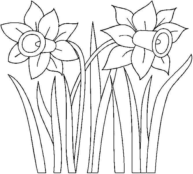 Rubikanja Fashion: Marigolds And Daffodils