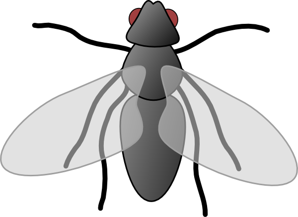 Fly3 clip art - vector clip art online, royalty free & public domain