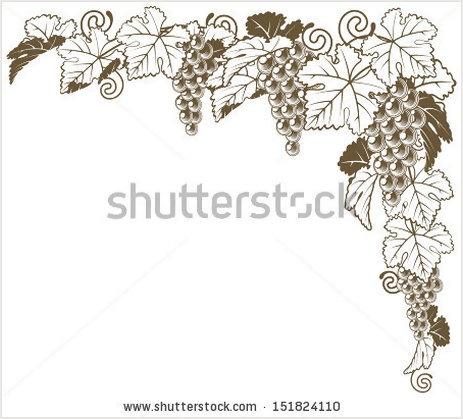 8559-vector-a-grape-vine- ...