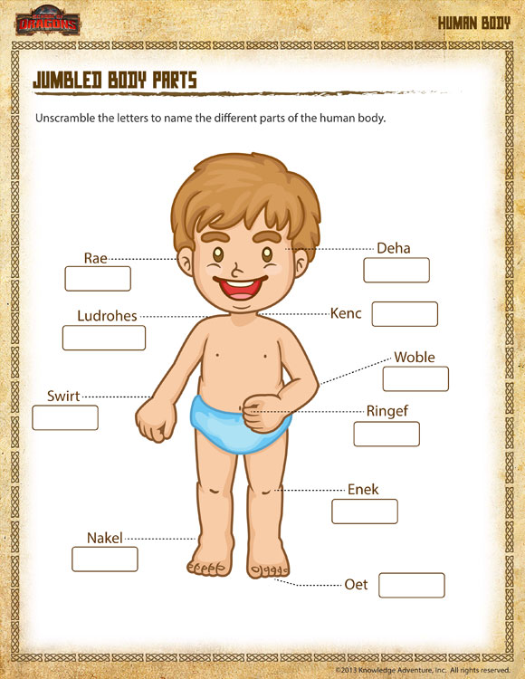 Jumbled Body Parts – Worksheet on Different Parts of the Body ...