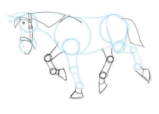 horse-3.jpg