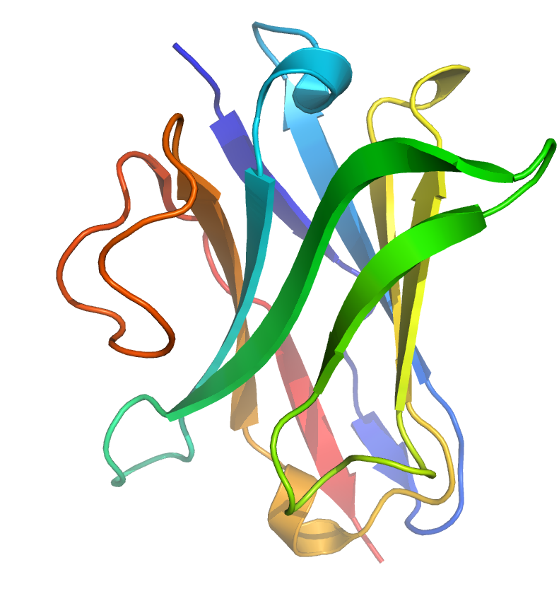 Single-domain antibody - Wikipedia, the free encyclopedia