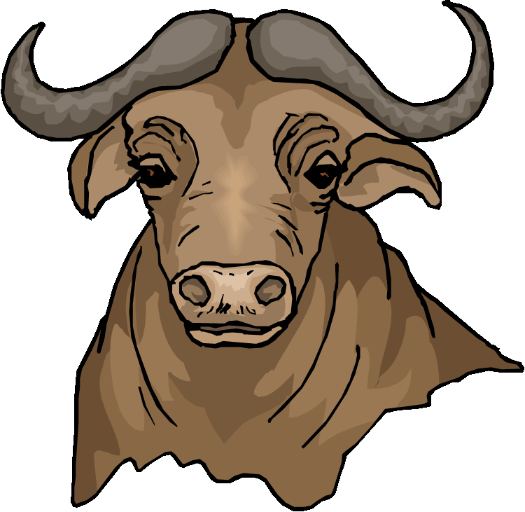 Free Buffalo Clipart