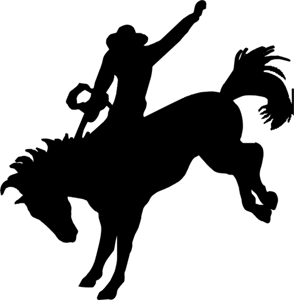 Online Gambler's Saloon | bull rider