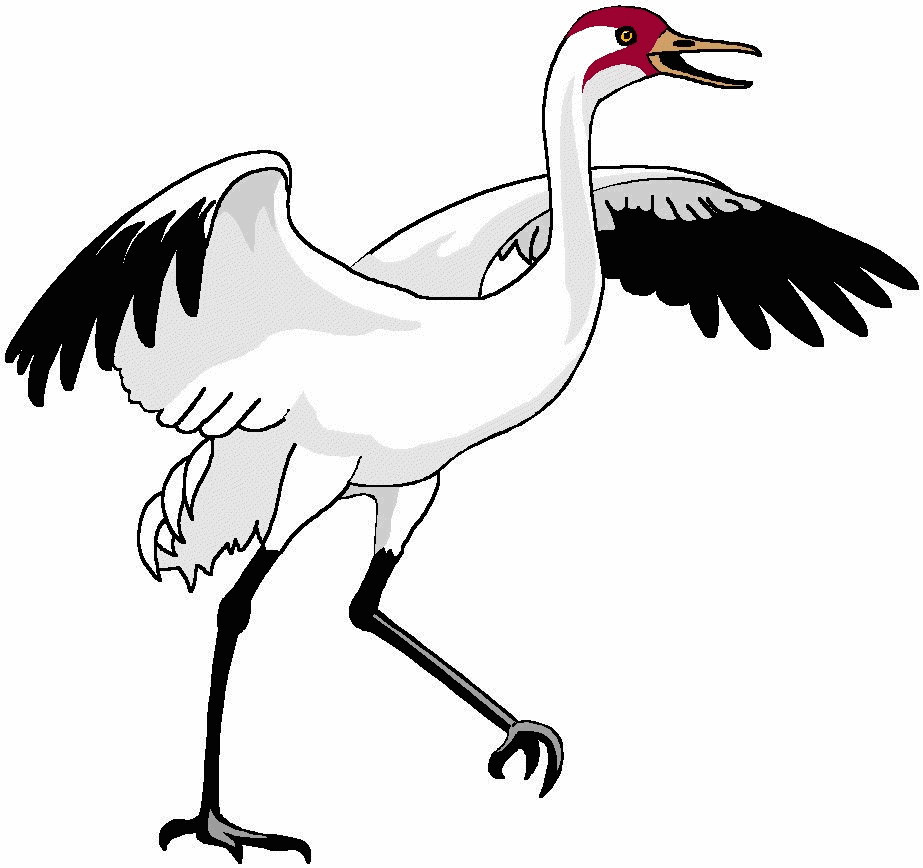 Bird Crane Clip Art