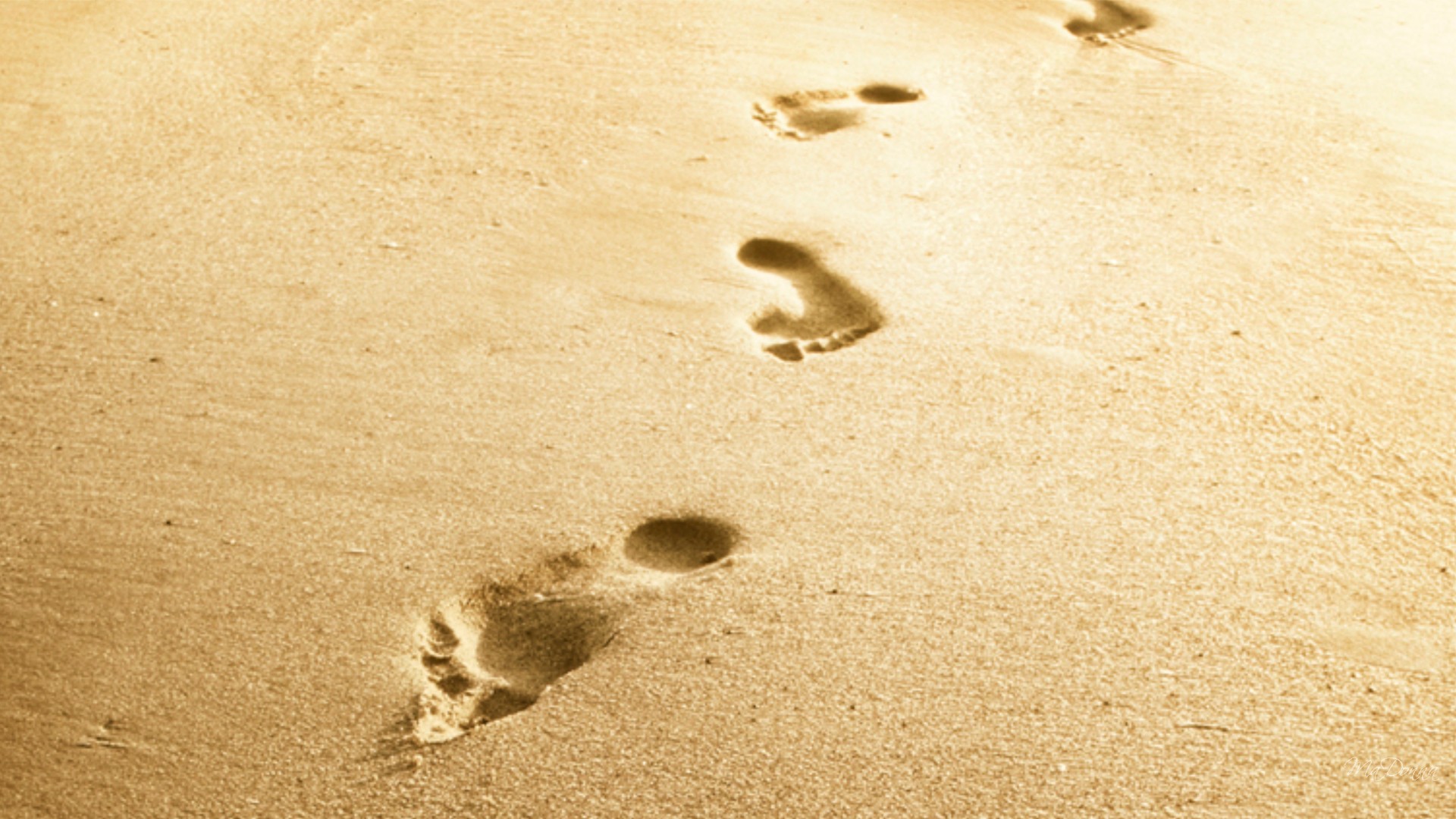 Footsteps In The Sand - 1783178