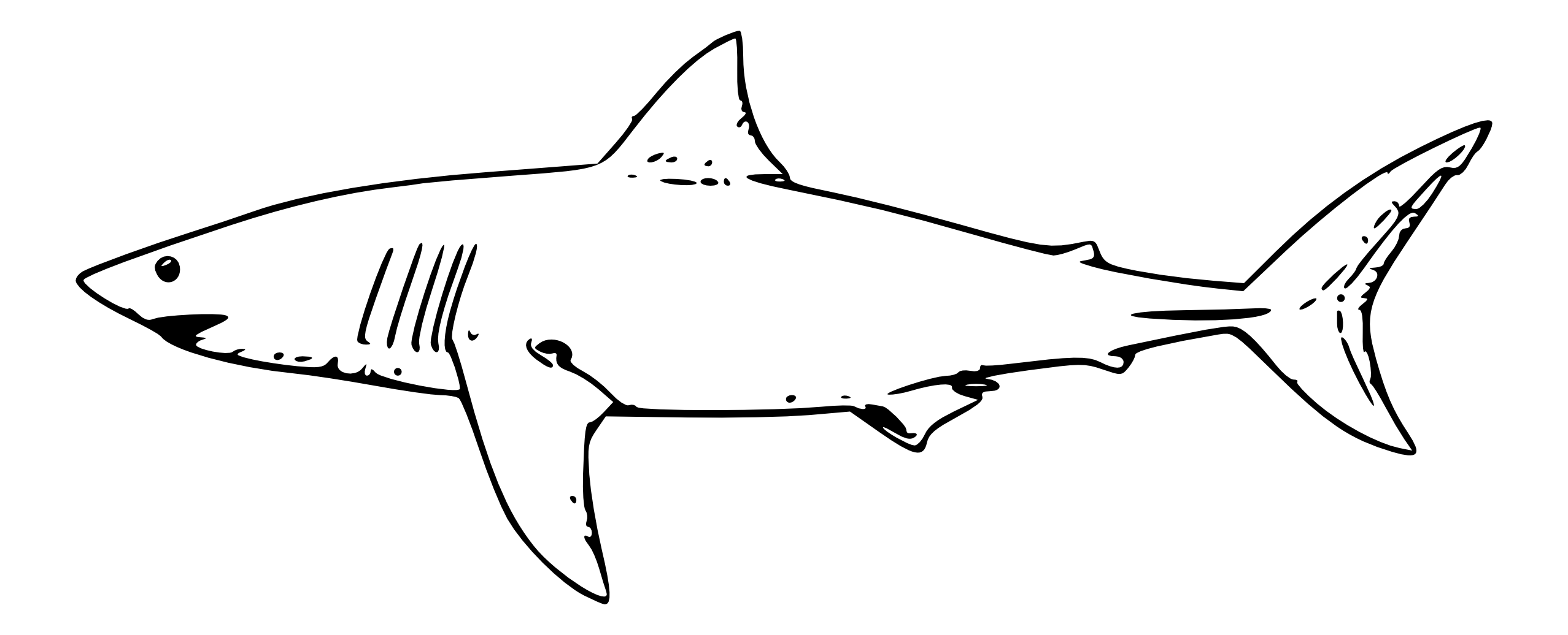 Shark Line Art - ClipArt Best