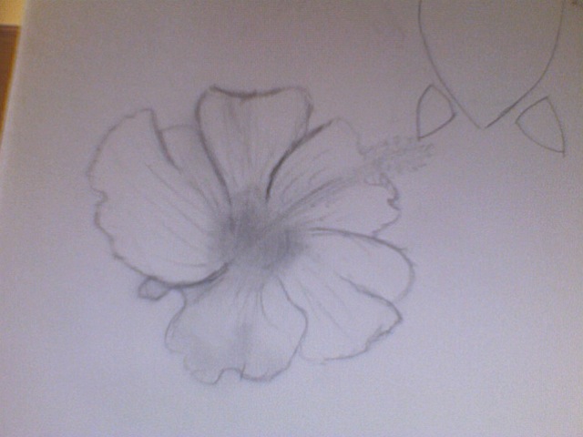 Hawaiian Flower Drawing Easy images