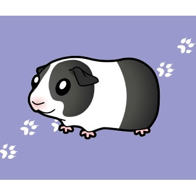 cartoon guinea pig (black dutch) mousepads by sugarvsspice picture ...