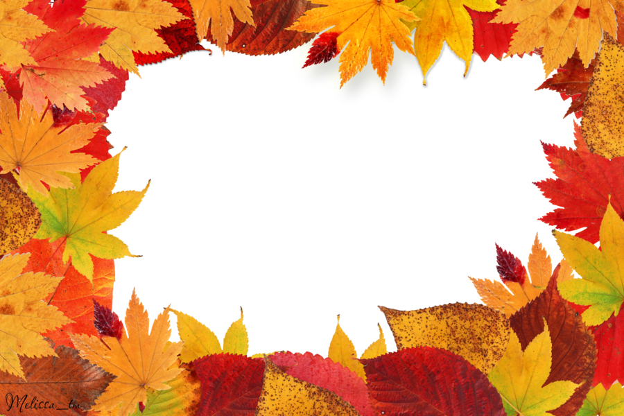 Autumn leaves PNG images, free PNG yellow leaves pictures