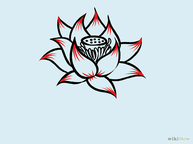 How to Draw a Lotus Flower: 7 Steps (with Pictures) - wikiHow