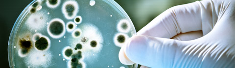 Discovery Education | Siemens Science Day