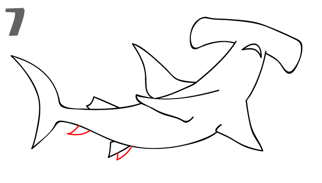 How To Draw a Hammerhead Shark - Step- - ClipArt Best - ClipArt Best