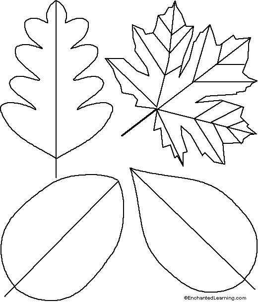 Leaf Template Printout - EnchantedLearning.com