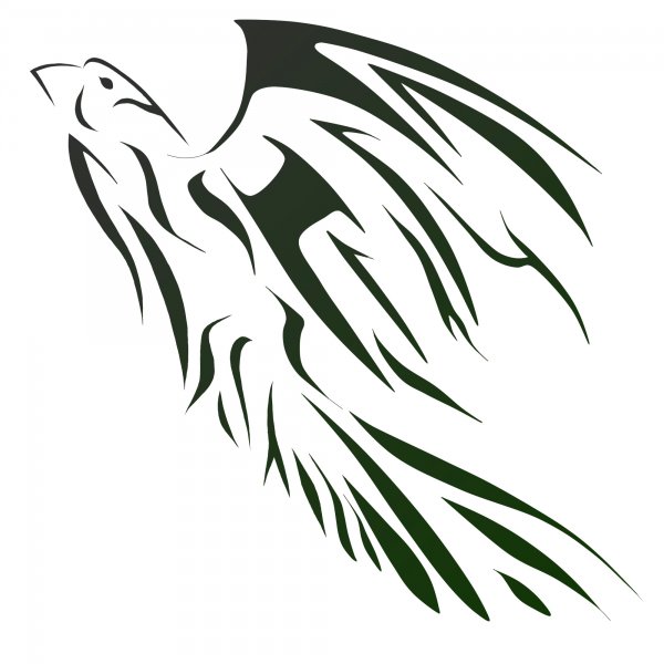 Animal Tattoos » Hawk Tattoos