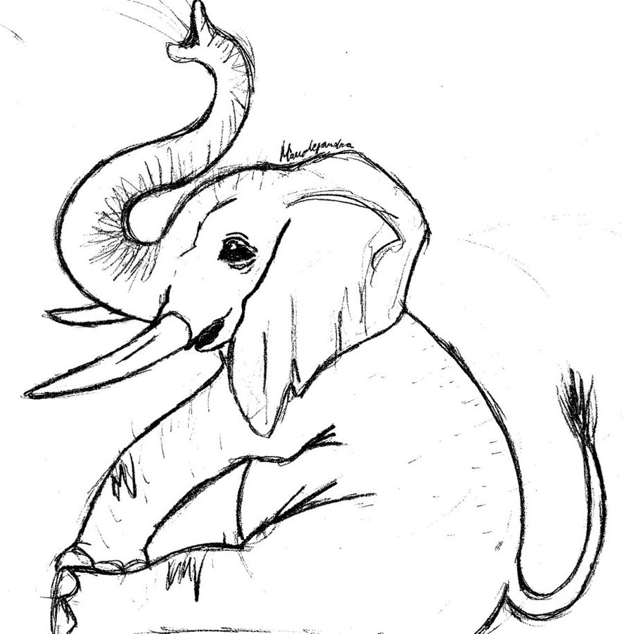 Simple Baby Elephant Drawing - Gallery