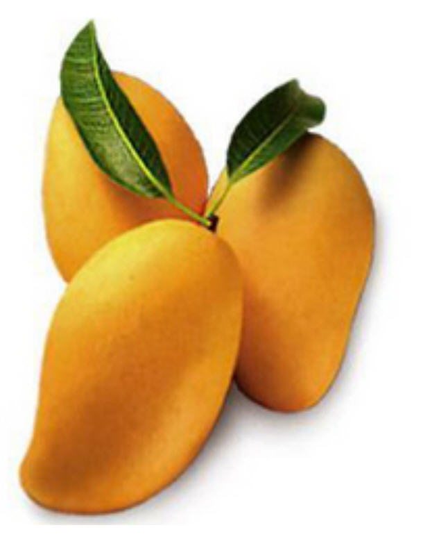Fresh Kesar Mango — Buy Fresh Kesar Mango, Price , Photo Fresh ...