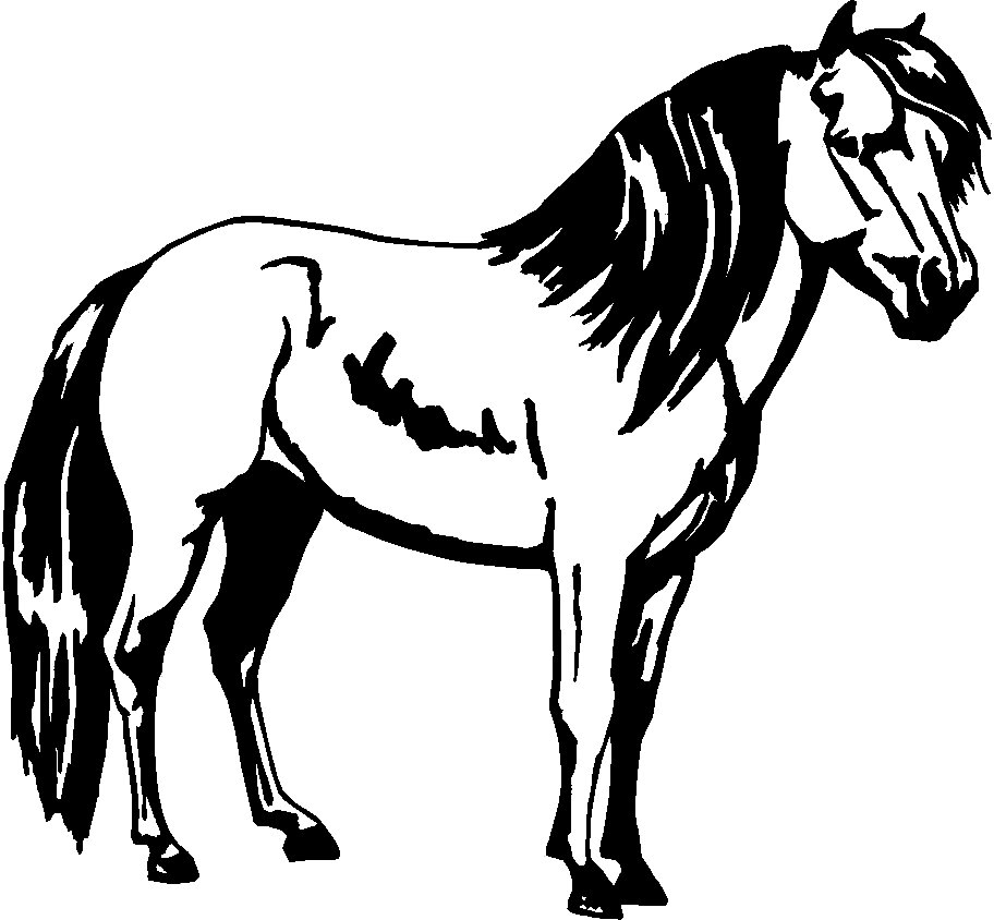 Horses Animal Vinyl Car or WALL Decal Stickers 14, horse decals ...