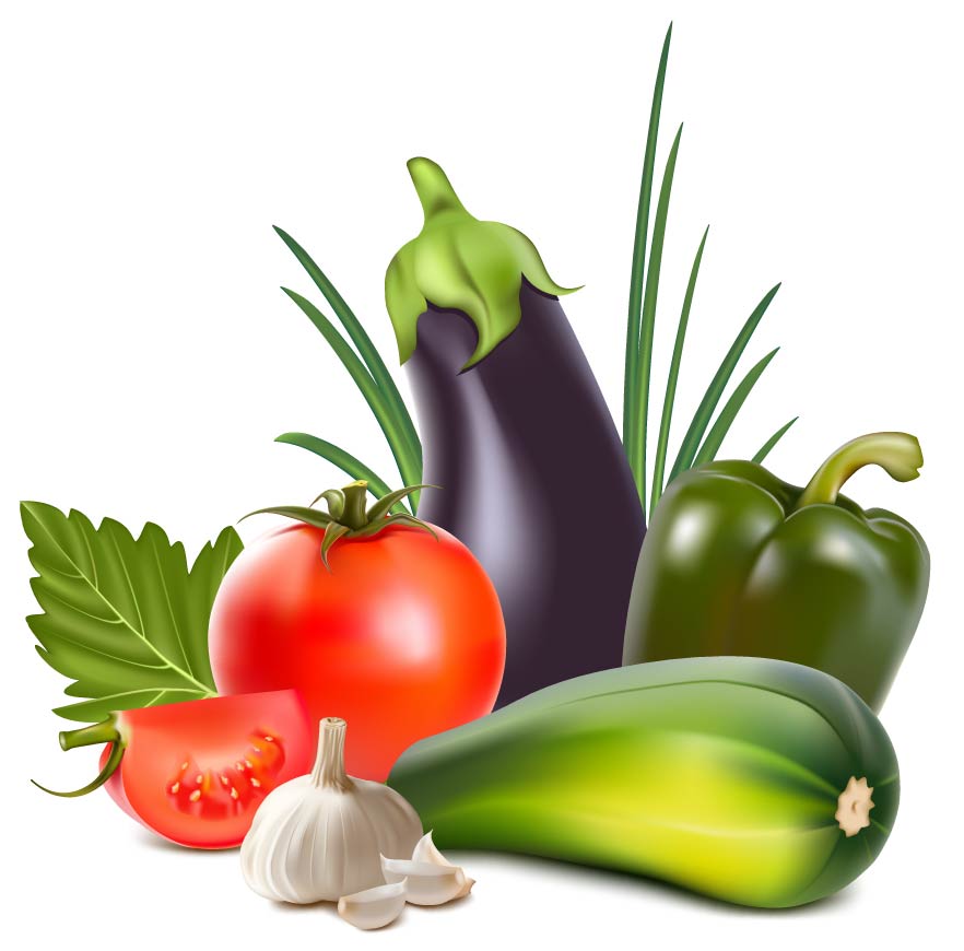 Vegetables - 2Much Vector : Vector Cliparts Starts from $1