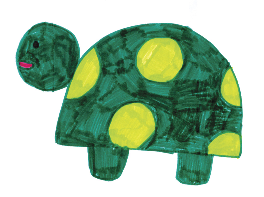 Kids Art Turtles_Hannah | The Wild World of Zoobooks