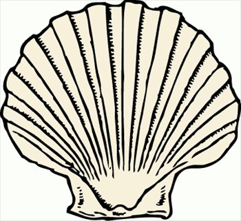 Free scallop-shell Clipart - Free Clipart Graphics, Images and ...