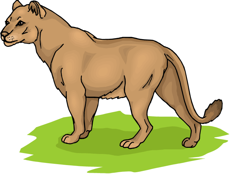 Free Lion Clipart
