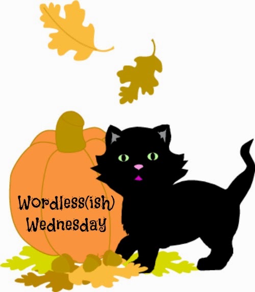 Pix For > Wednesday Hump Day Clipart